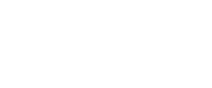 Capitol Online Auction Logo