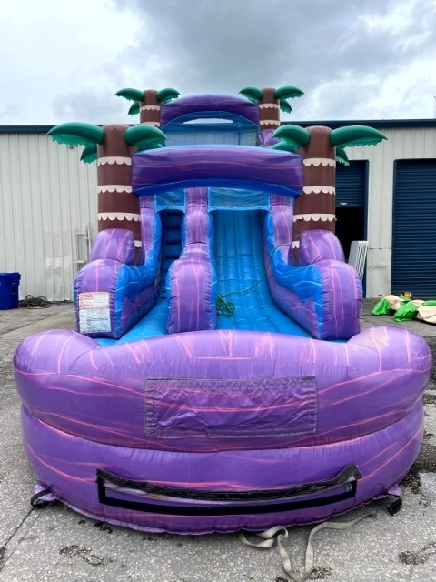 March Mega Party Rental and Amusement Auction with Assets from Rental Companies Across the US (Shipping is available).