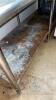 Stainless Steel Table with undershelf - 2