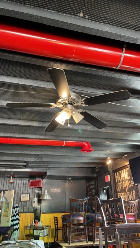 (5) Ceiling Fans