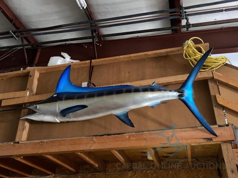 Decorative Blue Marlin