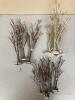 Village Winter Birch Trees (Lot A) - 2