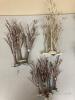 Village Winter Birch Trees (Lot C)