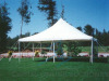 20ft x 20ft Elite Pole Tent Canopy Top