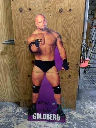 Goldberg Cardboard Stand Up