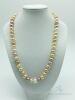 14kt Gold & Pearl Necklace - 2