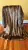 Evansfurs Long Fur Coat - 4