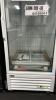 True Mfg. - General Foodservice Freezer Merchandiser (New/Floor Model) - 2