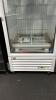 True Mfg. - General Foodservice Freezer Merchandiser (New/Floor Model) - 3