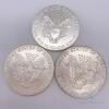 3x Standing LIberty 1 oz fine silver coins - 2