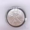 Standing LIberty 1 oz fine silver coin - 2