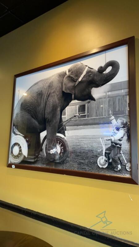 Framed Elephant Photo