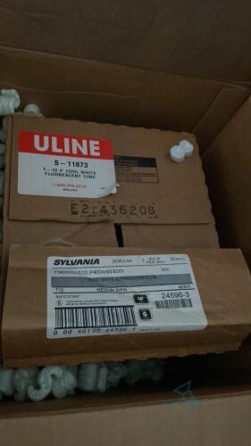 Box of Fluorescent Bulbs (2)