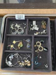 Various Earring/jewelry Lot #1