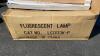 (12) Flourescent Lamp Bulbs - 2