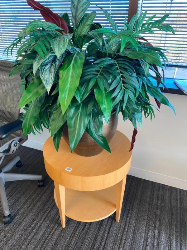 Small Side Table & Plant