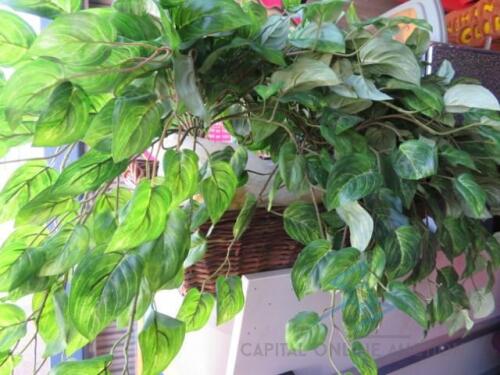 ARTIFICIAL PLANT (LOT)