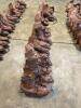 Ice Skates (Lot of 60 Pairs) - 4