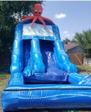 20ft Octopus Waterslide