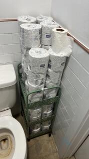 Shelving unit on wheels with toilet paper