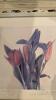 Signed Framed Print, Flowers - 2