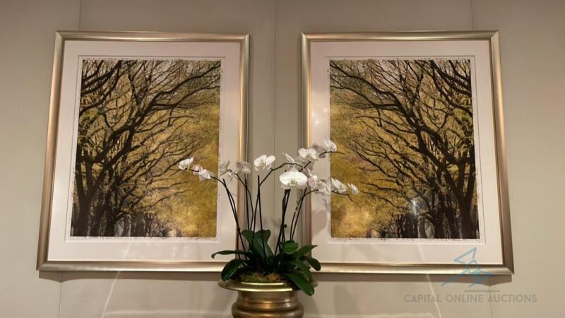 Framed Tree Photo with Silver Frame