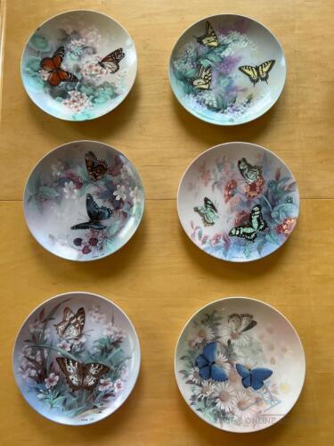 6- On Gossamer Winga Collectors Plates