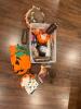 Halloween (Fall, Thanksgiving) Assorted Decor- #1