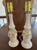 (2) Capodimonte Style Pastel Flower Porcelain Lamps - 2