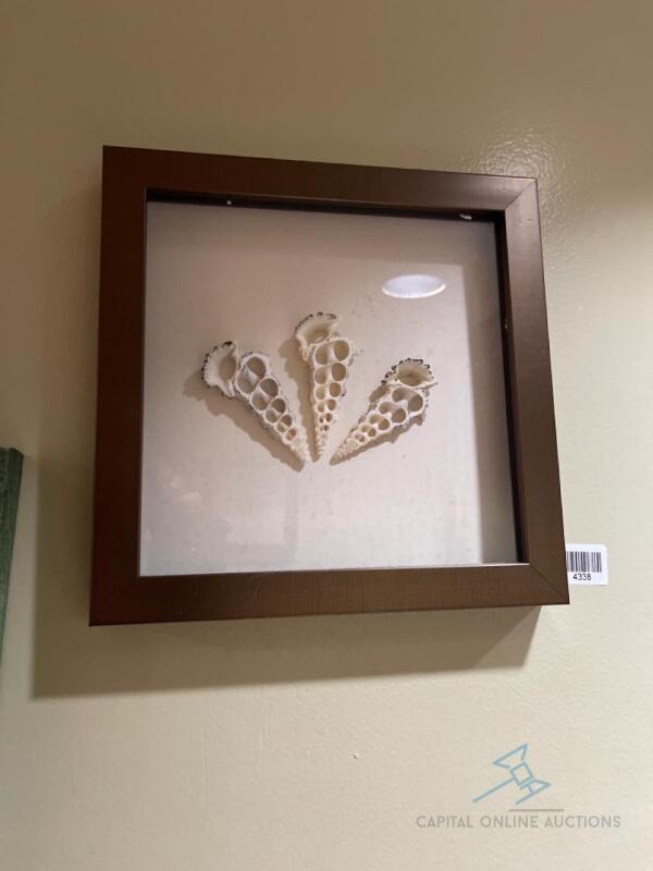 Seashell Wall Art