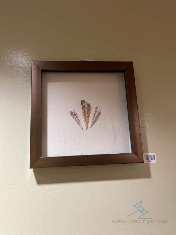 Seashell Wall Art