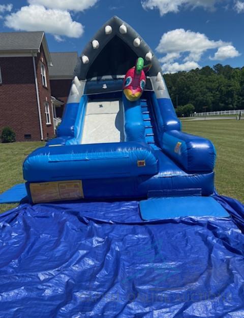 Shark Attack Water Slide