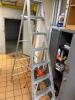 9 ft Metal Ladder - 4