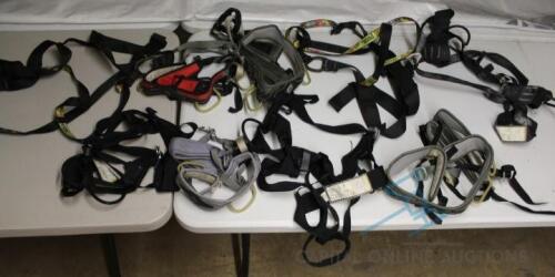 (9) Harnesses