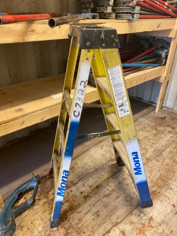 4ft Ladder