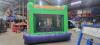 Shrek Bounce House - 2