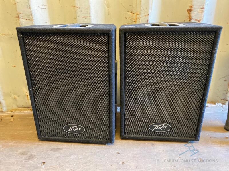 2 Peavey Speakers with Stands