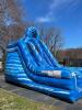 Blue Ice Slide - 7