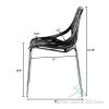 (184) Black Parma Birch Stencil Chair - 2