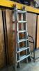 Little Giant Adjustable Ladder