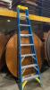 Werner 8ft Ladder