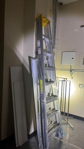 2 Ladders (8 and 6 ft)