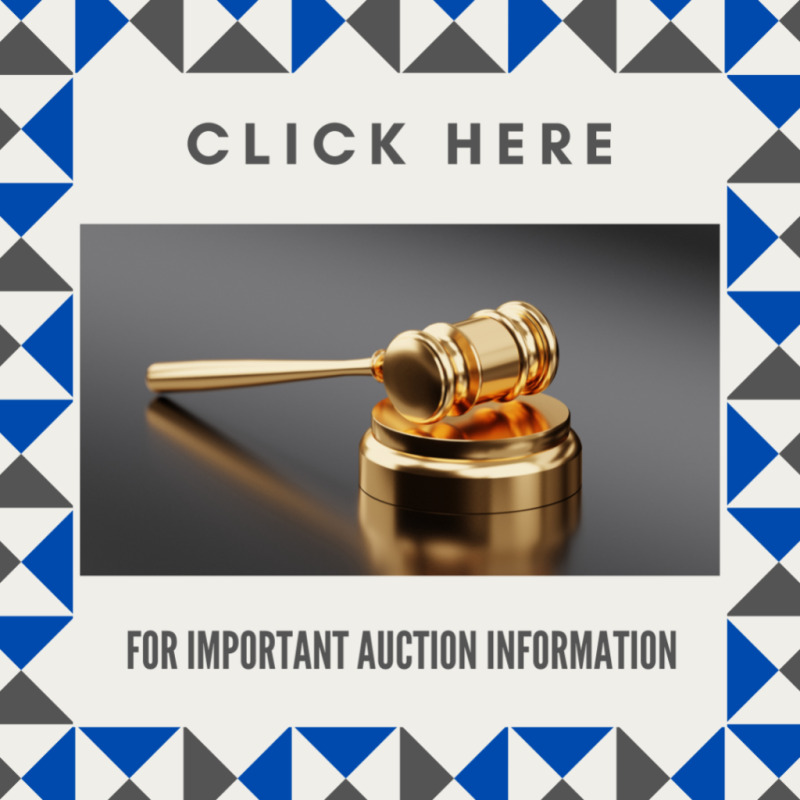 Important Auction Details