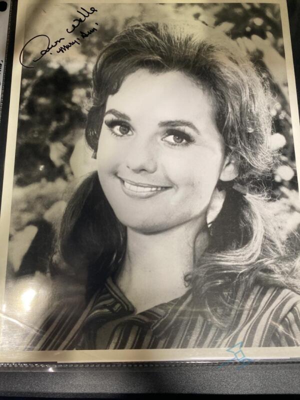 Gilligan's Island Dawn Wells signed photo