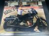 Sons of Anarchy Natalie Skky signed photo