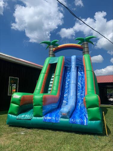 Tropical Slide 15x30x22