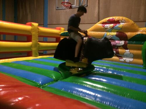 Mechanical Bull Arena- Inflatable Only