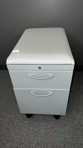 Pedestal filing cabinet on wheels