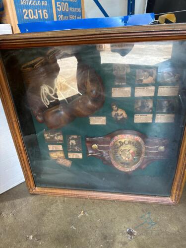 Boxing Shadow Box