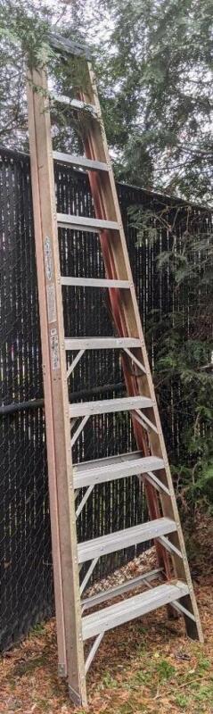 Werner Ladder